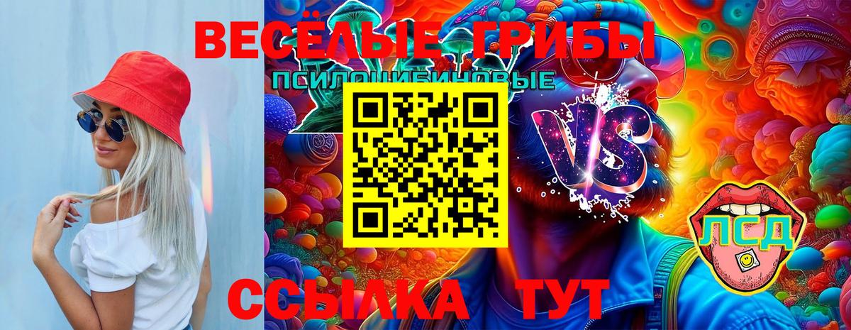 Рузаевка  Псилоцибиновые грибы Cubensis  Вход с VPN 