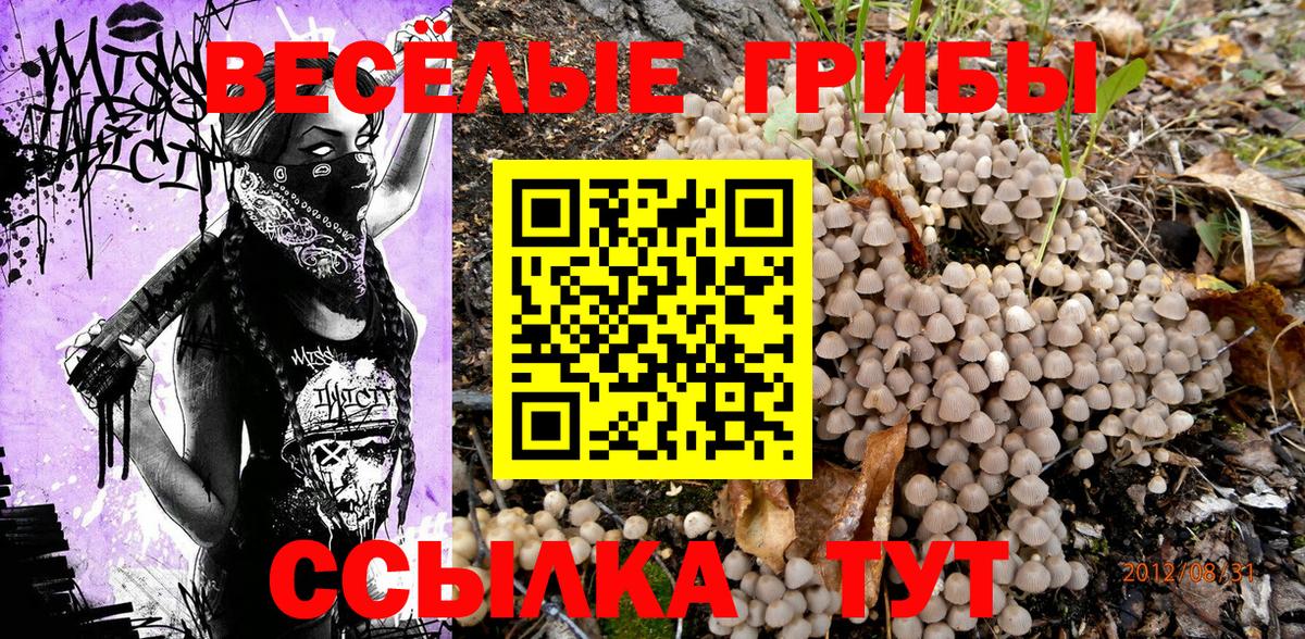 Галлюциногенные грибы мухоморы Рузаевка
